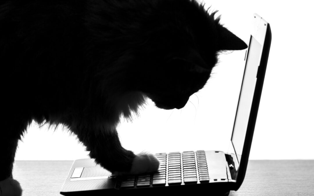 Game of Cat and Mouse: Why Your Business Needs Multi-Layered AI Defense